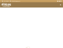 Tablet Screenshot of oldladygang.com